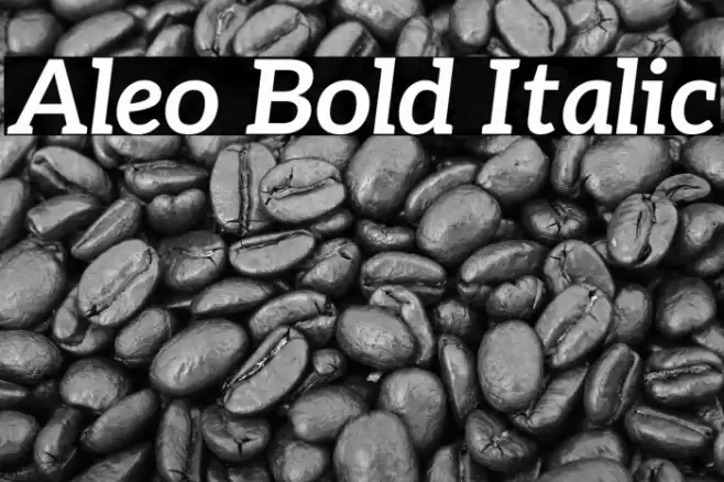 Aleo Bold Italic Font examples