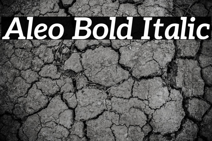 Aleo Bold Italic フォント examples