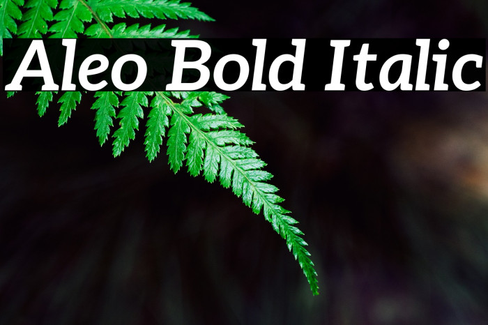 Aleo Bold Italic フォント examples