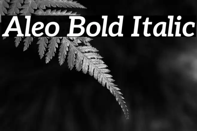 Aleo Bold Italic Font examples