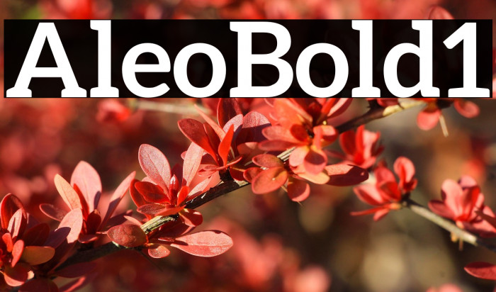 Aleo Bold1 Example 1