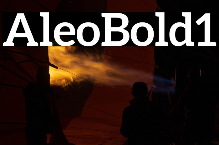 Aleo Bold1 Example 3