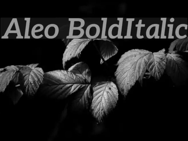 Aleo BoldItalic フォント examples