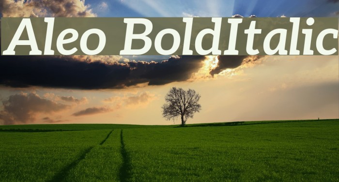 Aleo BoldItalic フォント examples