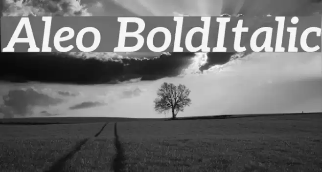 Aleo BoldItalic フォント examples