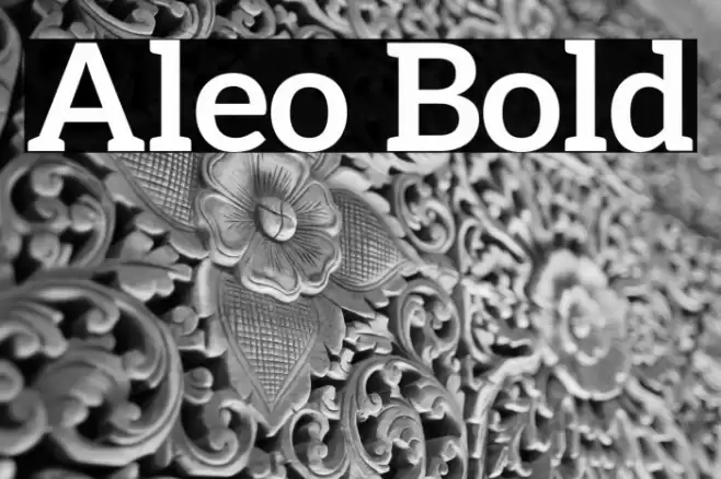 Aleo Bold Font examples