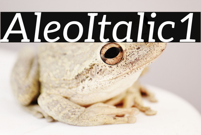 Aleo Italic1 Example 1