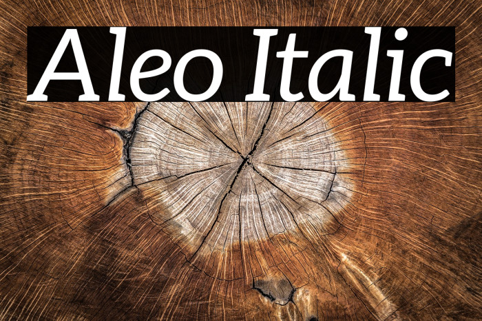 Aleo Italic Fonte examples