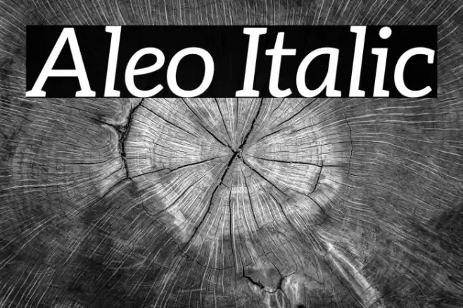 Aleo Italic Font examples