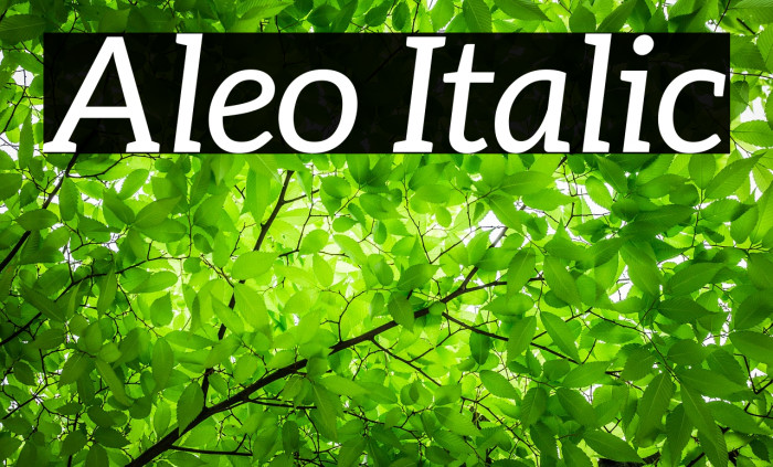 Aleo Italic Fonte examples