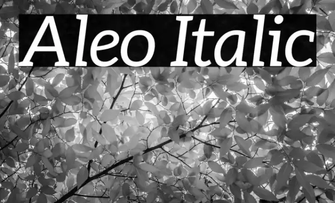 Aleo Italic Font examples