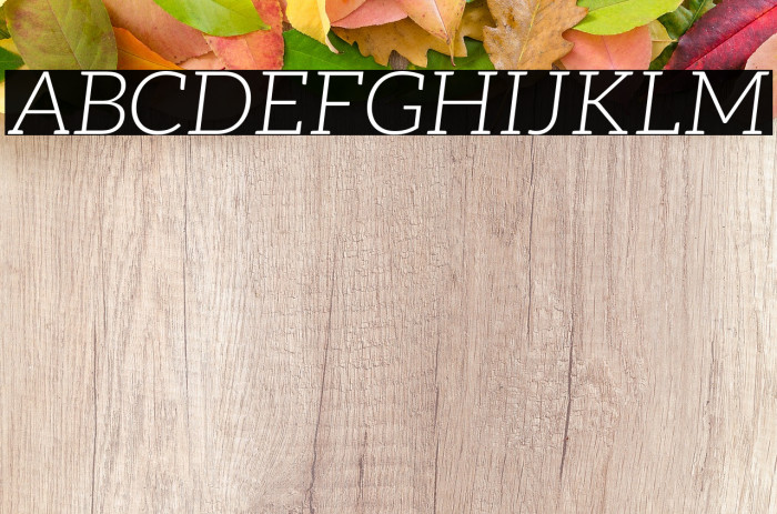 Aleo Light Italic Font examples