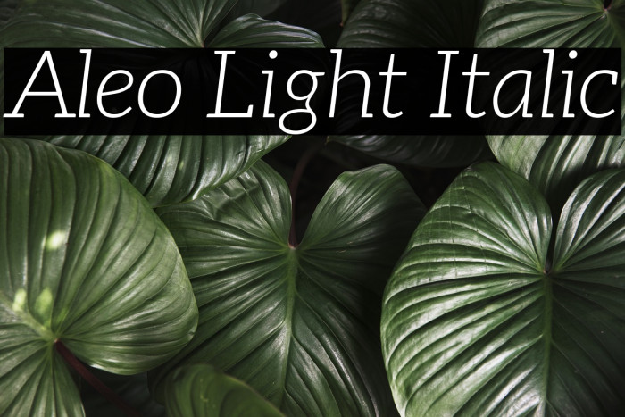 Aleo Light Italic Font examples