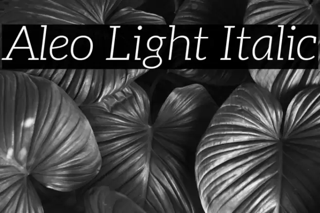 Aleo Light Italic Polices examples