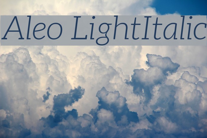 Aleo LightItalic Font examples