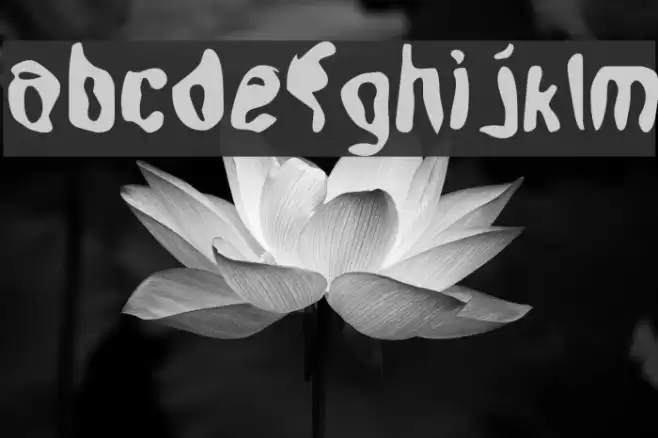 Aleph フォント examples