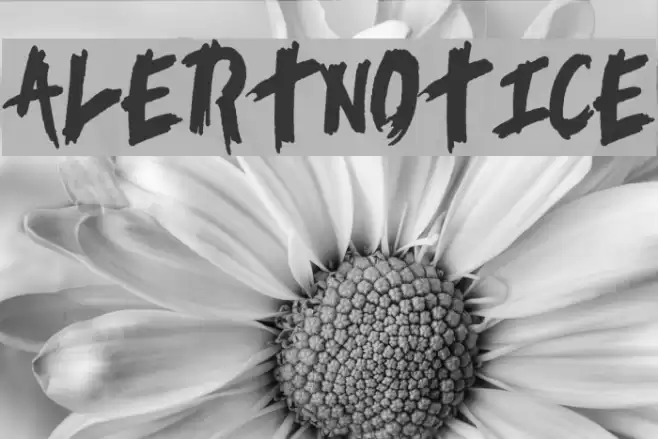 AlertNotice خط examples