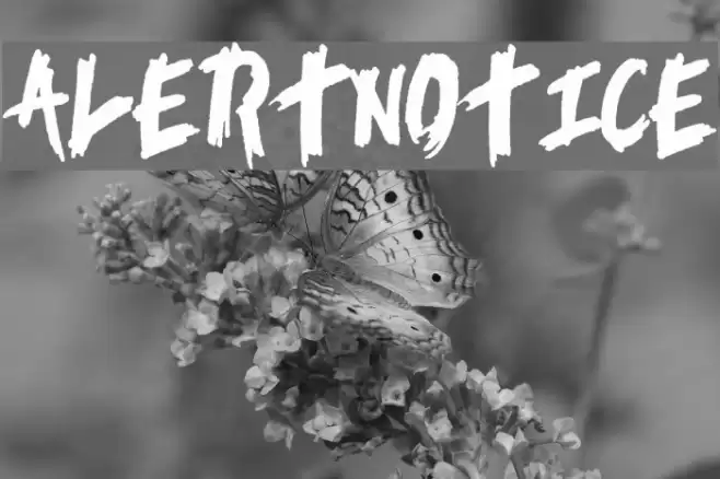 AlertNotice خط examples