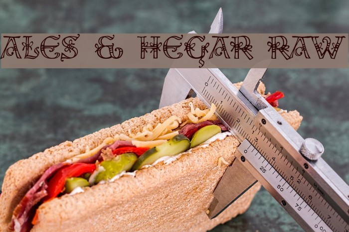 Ales & Hegar Raw Font examples