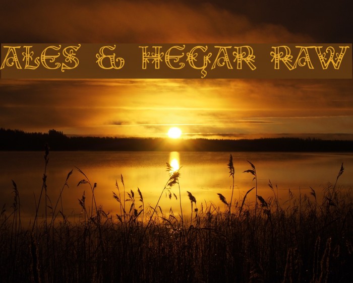 Ales & Hegar Raw Font examples