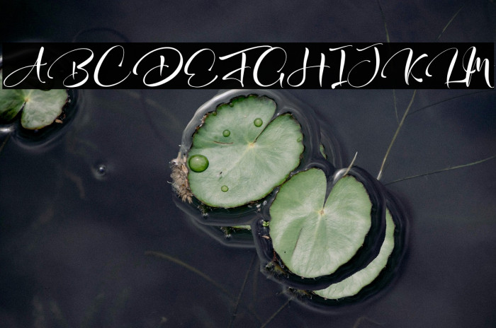 Alesa Sitha Example 2