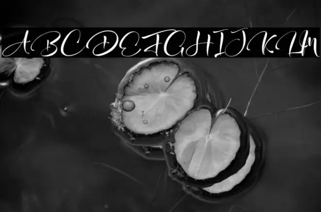 Alesa Sitha Font examples