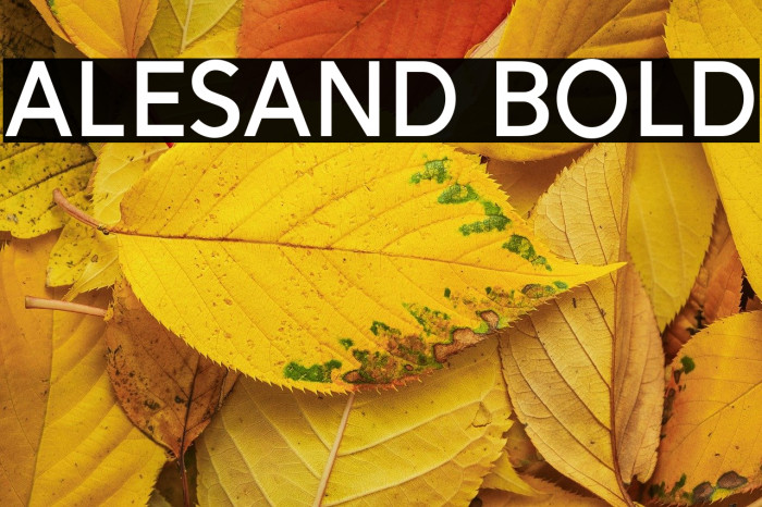Alesand Bold Example 1