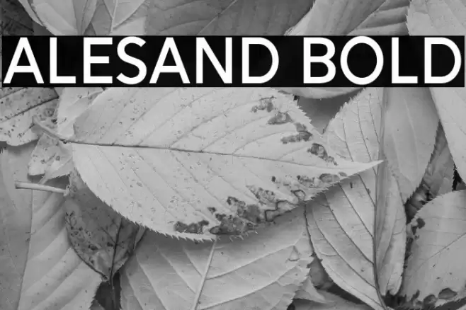Alesand Bold Font examples
