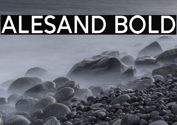 Alesand Bold Example 2
