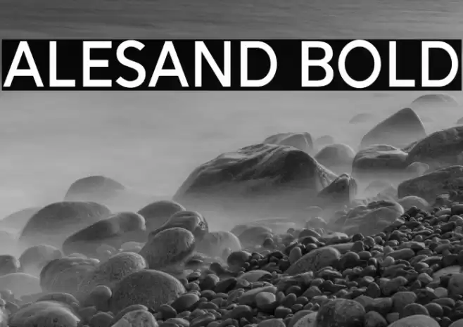 Alesand Bold Font examples