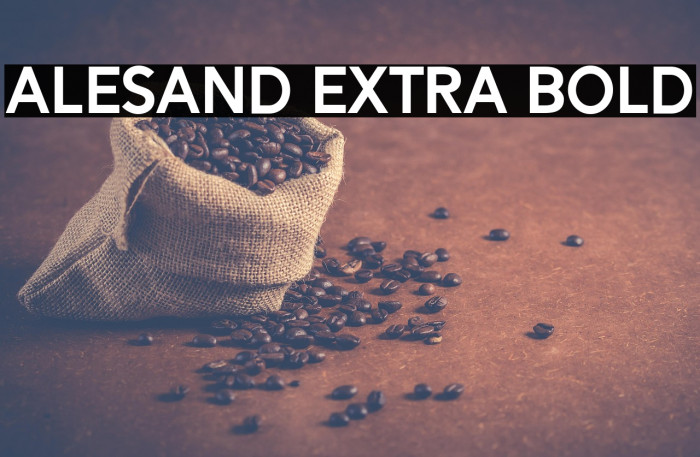 Alesand Extra Bold Example 3