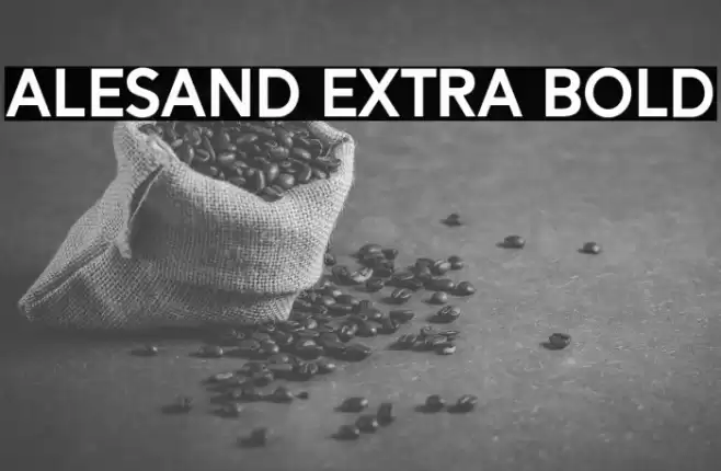Alesand Extra Bold Font examples
