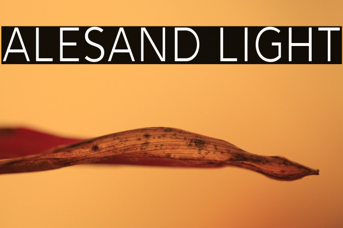 Alesand Light Example 2