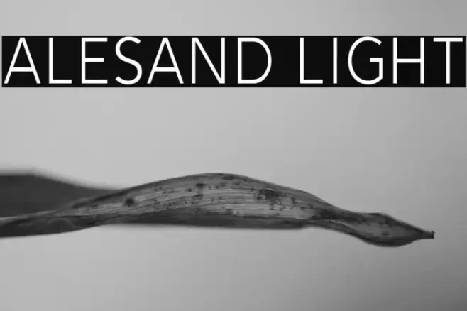 Alesand Light Font examples