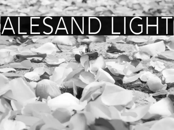 Alesand Light Font examples