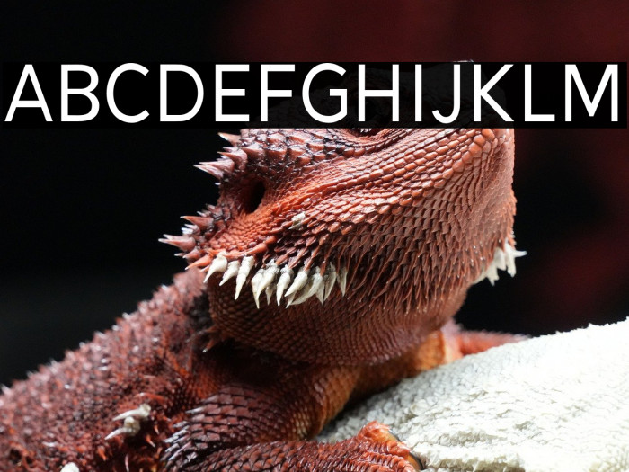 Alesand-Regular Example 2