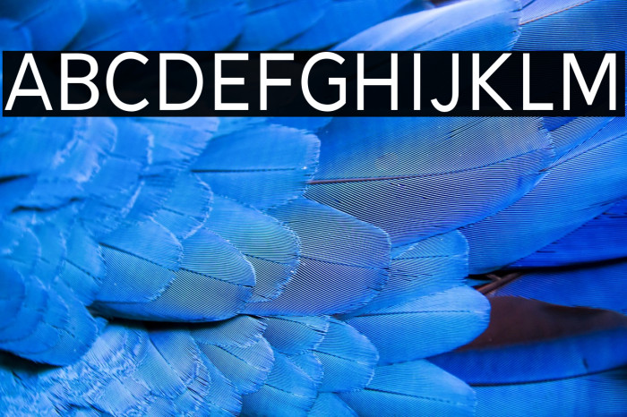 Alesand-Regular Example 3