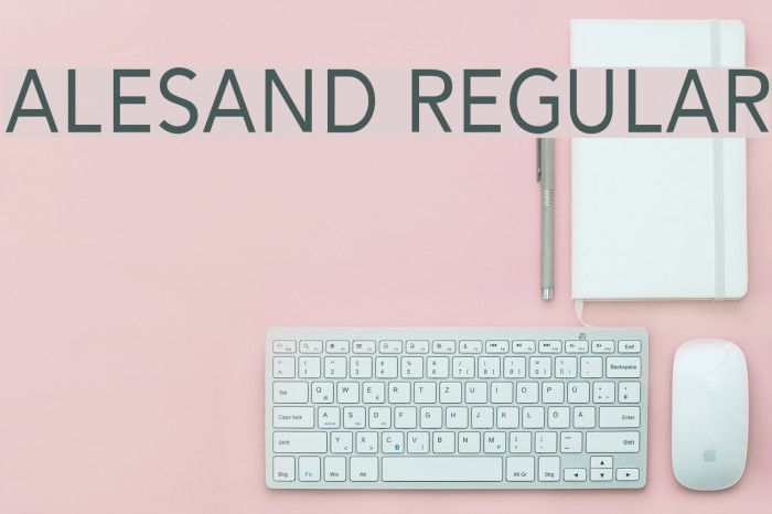 Alesand Regular Example 2