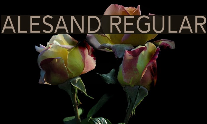 Alesand Regular Example 3