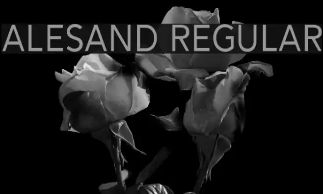 Alesand Regular Font examples