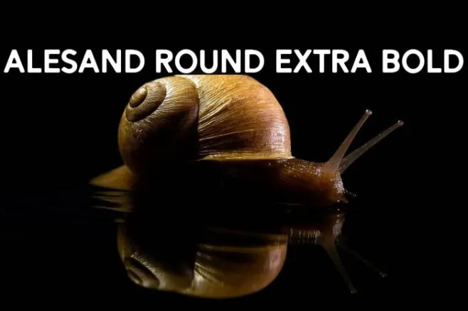 Alesand Round Extra Bold Example 1