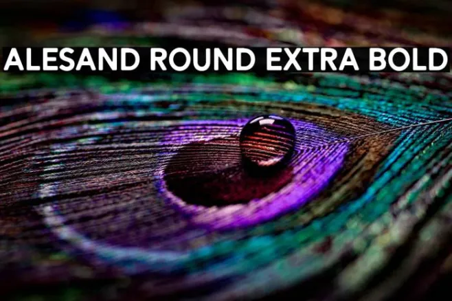 Alesand Round Extra Bold Example 2