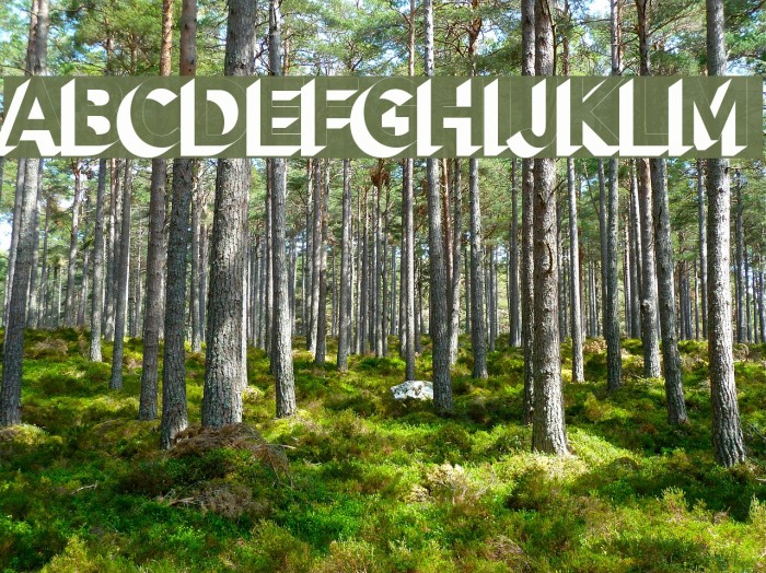 AlesandExtrude-ExtraBold Font examples