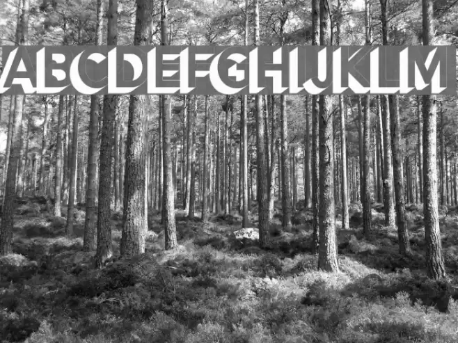 AlesandExtrude-ExtraBold Font examples