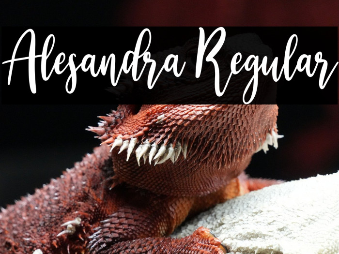 Alesandra Regular Example 1
