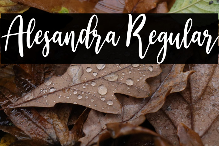 Alesandra Regular Example 2