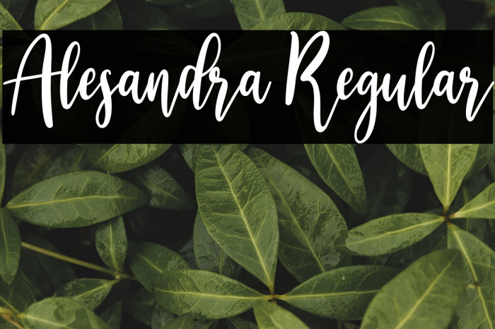 Alesandra Regular Example 3
