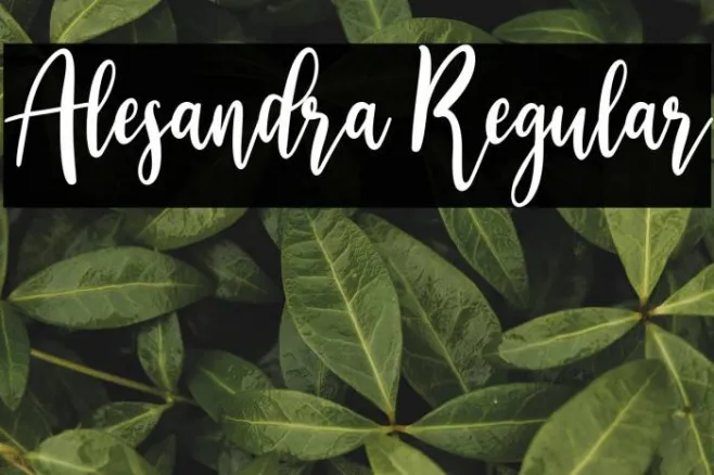 Alesandra Regular Example 3