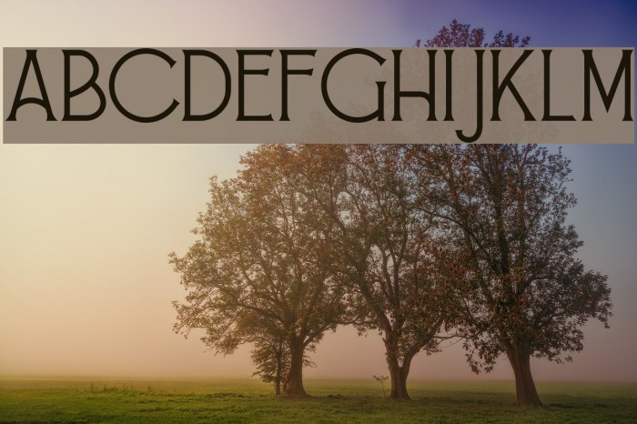 Alessandra Example 3