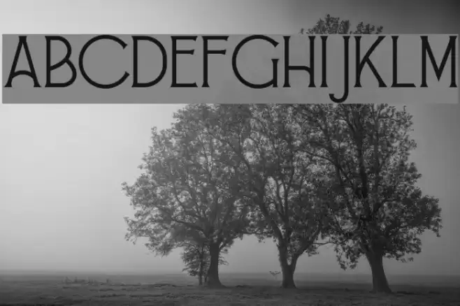 Alessandra Font examples